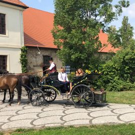 Kutschfahrten in Körbelitz