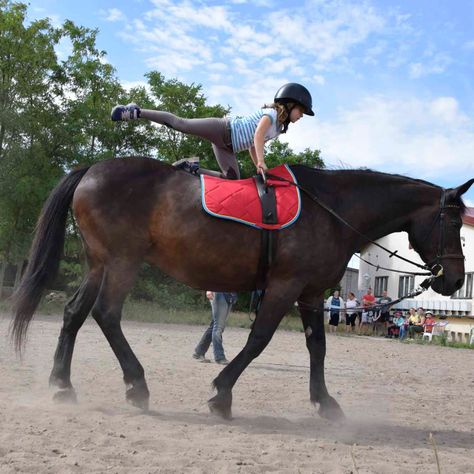 Reitstunden in Körbelitz