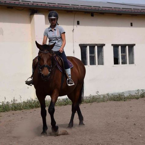 Reitstunden in Körbelitz