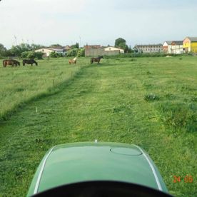 Impression von unserem Land- und Reiterhof in Körbelitz