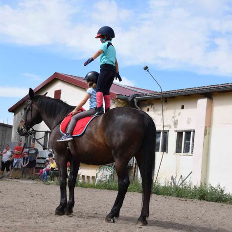 Reitstunden in Körbelitz